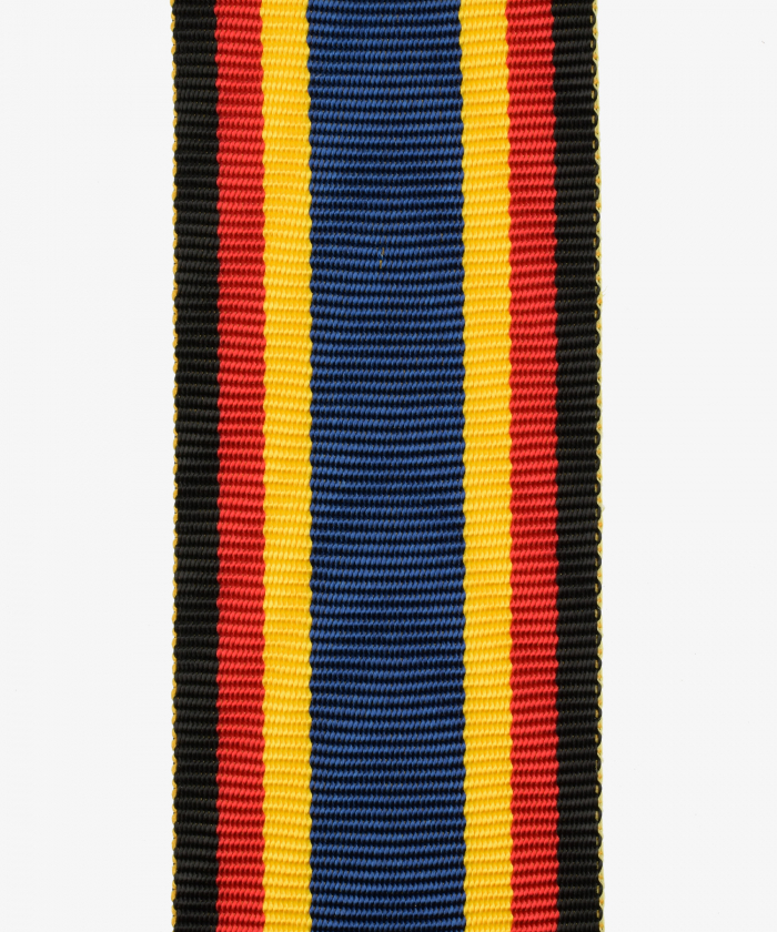 Medal for flood aid (134)